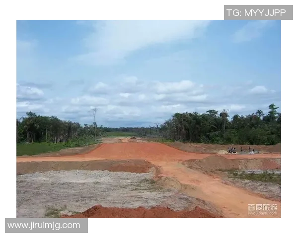 尼日利亚与几内亚2019年精彩对决回顾与分析